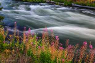 Deschutes River-1391